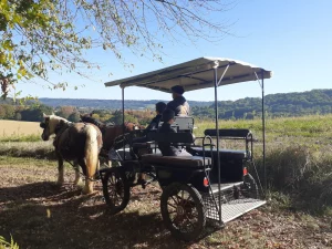 randonnée vigneronne ferme beth loc